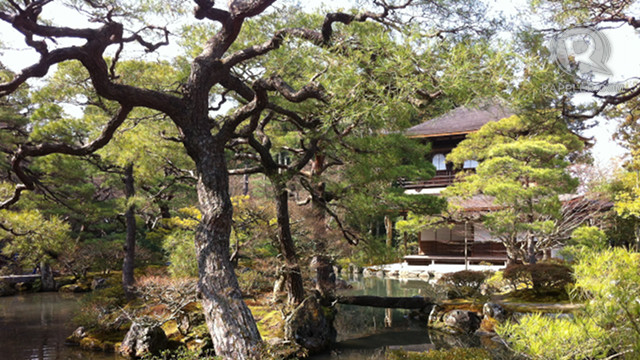 HONEN-IN TEMPLE. If you visit Japan, don't miss this peaceful place. Photo by Tanya Lim/Rappler