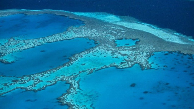 ENDANGERED. The Great Barrier Reef may find itself in the UNESCO list of endangered world heritage sites. Photo courtesy of the Great Barrier Reef Marine Park