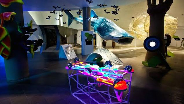 The Mind Museum bags int'l award for 'sensory-rich' exhibits