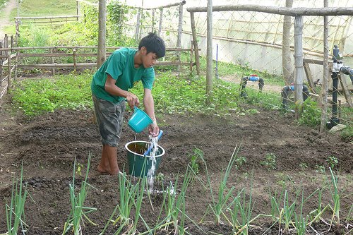 DAILY LIFE. Romnick tending his organic kitchen garden at GreenEarth. Courtesy of GreenEarth Heritage Foundation.