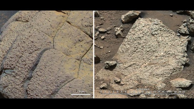 This set of images compares rocks seen by NASA's Opportunity rover and Curiosity rover at two different parts of Mars. On the left is 