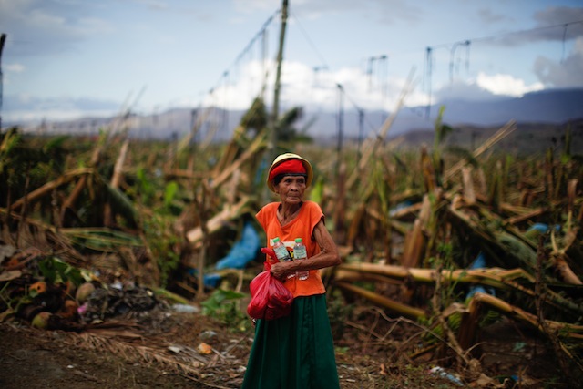 LOST. The banana plantations of Compostela Valley, livelihood to thousands, were lost in a single night. Photo by John Javellana