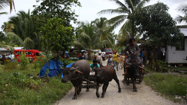 EVACUATED. Around 2,000 residents from 3 villages in the towns of Aleosan and Pikit vacated their houses as BIFF rebels arrived in the area. Photo by Ferdh Cabrera