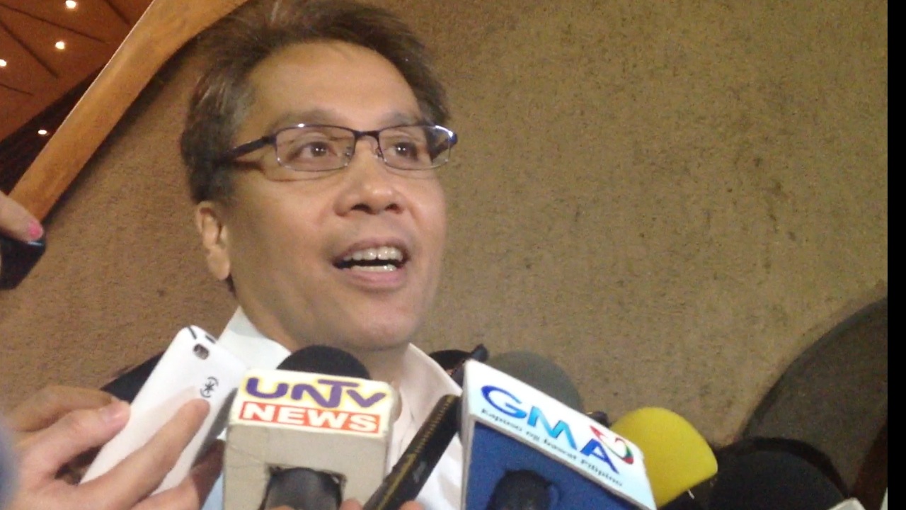 PROBE ALLIES: Liberal Party president-on-leave Mar Roxas says administration allies will not be spared in the pork probe. Rappler file photo