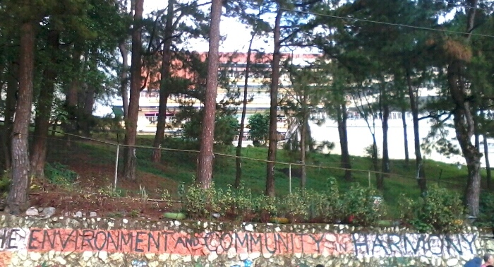 THE SITE. Advocacy groups are protesting the permit given to SM Baguio to cut these trees for its expansion plans. Photo by JP Alipio
