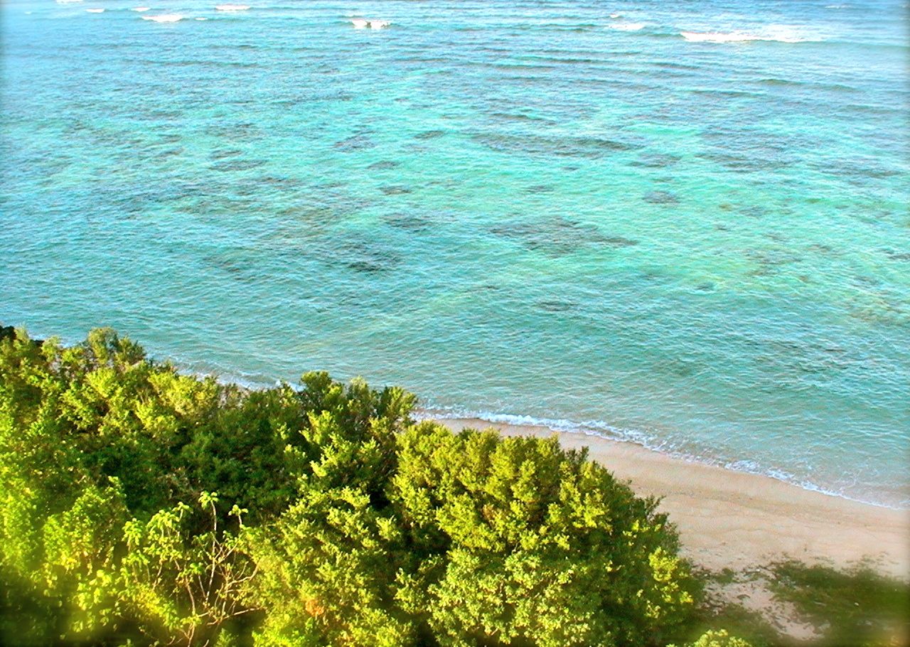 Apo Reef