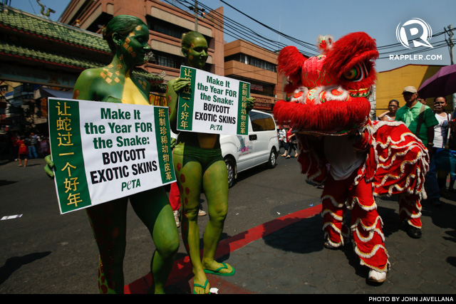 DRAGON LION 'AGREES.' The Dragon Lion seemingly reading the sign boards of the PETA protesters