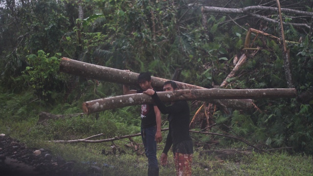 HIT AGAIN. Despite the devastation of Typhoon Pablo in the province of Agusan del Sur, loggers continue to haul fallen logs along the national highway. Photo by Karlos Manlupig