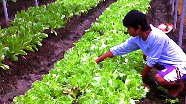 NEVER 'JUST' FARMERS. 'Do not discriminate the uneducated, they have their own innate genius'