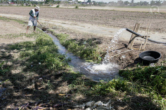 EL NIÑO THREATENS AGRICULTURE. Every year, farmers in the Philippines need to cope with El Niño which dramatically affects crop production. Photo by John Javellana