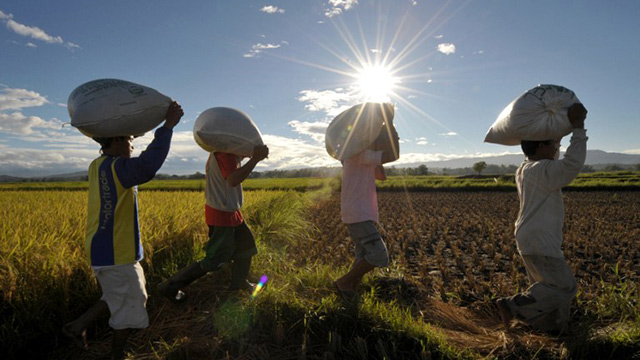 Adb On Food Security In Asia No Time For Complacency 