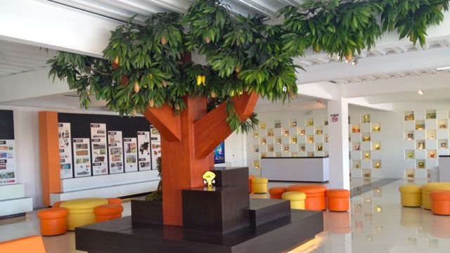 A SPACE WHERE MANGO lovers converge