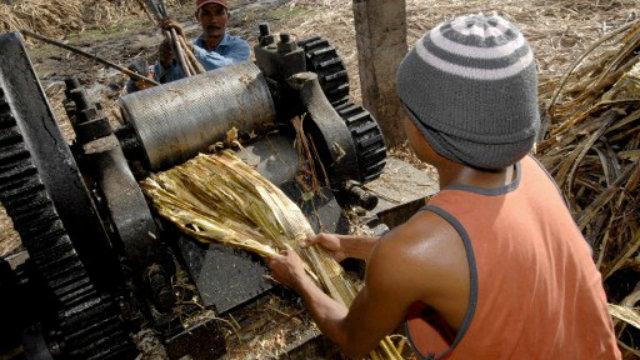 ASEAN IMPACT. Changes in the trade with the US are expected involving sugar farms, like this shown in Visayas region in the Philippines. Photo by AFP