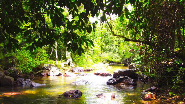 DOWN BY THE RIVER. Green as a dominant color was refreshing to see