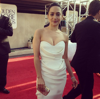 Archie Punjabi, 'The Good Wife'