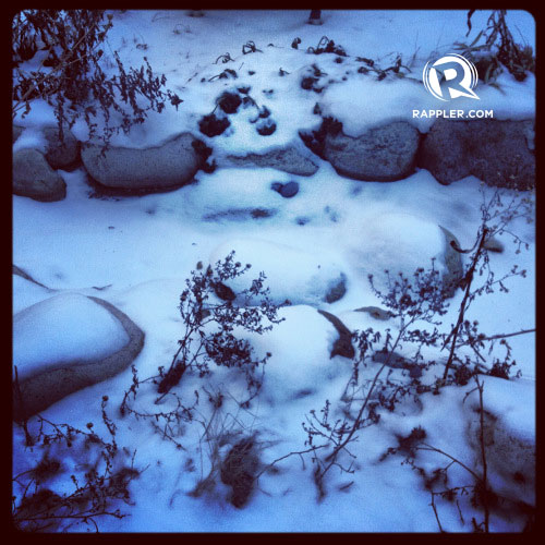 Hi, Winter!