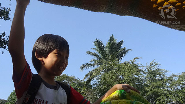 Bowi inspects the mouth of a Luneta dinosaur