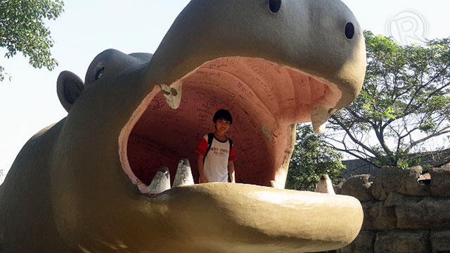 Bowi discovers the wonders of the hippo's mouth