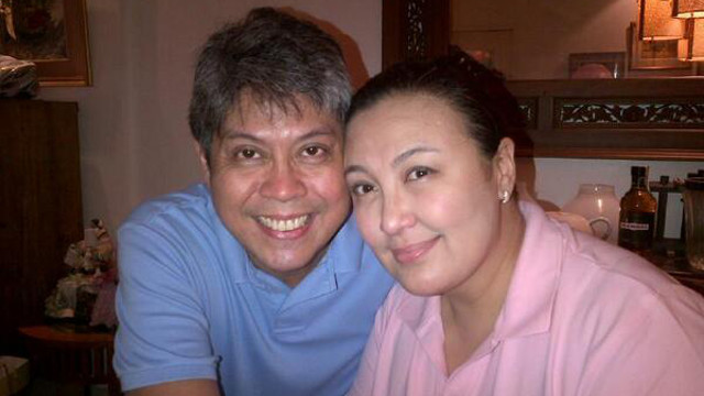 Sharon Cuneta defends Kiko Pangilinan on PDAF