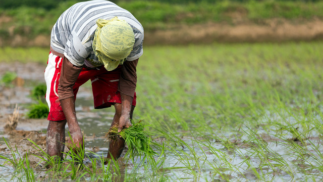 Pangilinan: Want economic growth? Put farmers, fisherfolk ...