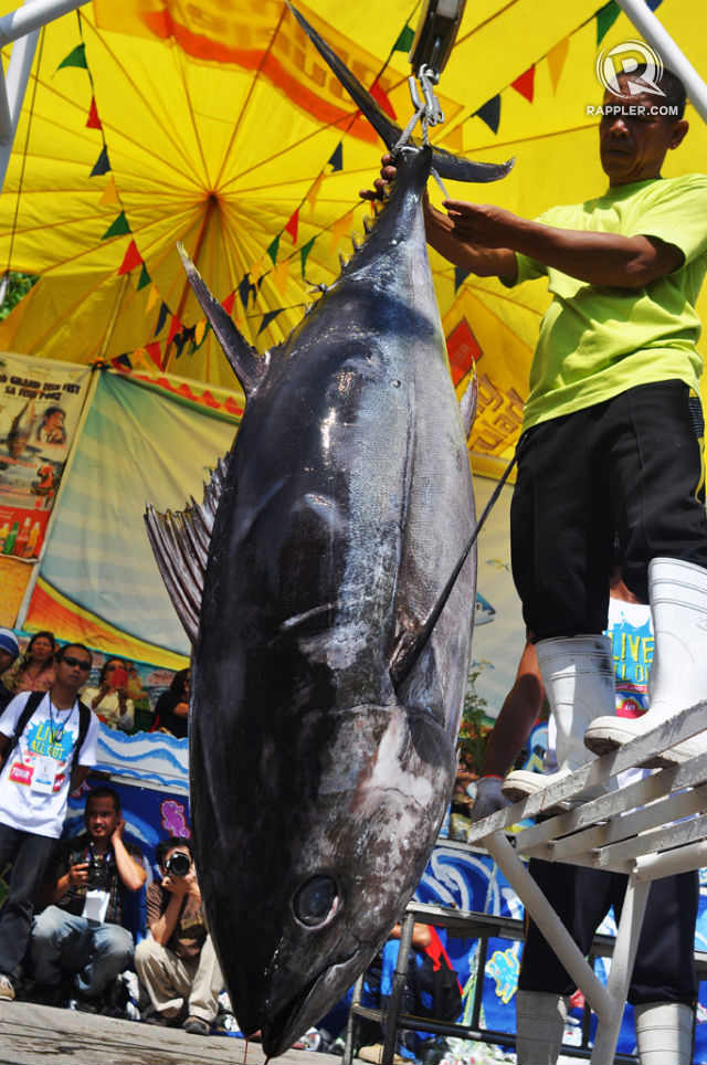 Gen San celebrates Tuna Festival