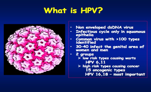 what is hpv,its a virus that infects the genitals of male and female