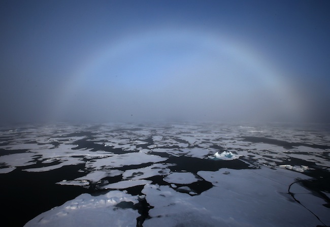 Science wRap: Arctic ice, 'wired microbes', brave mice