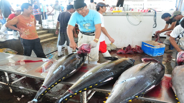 the philippines tuna industry a profile the philippines tuna industry a profile